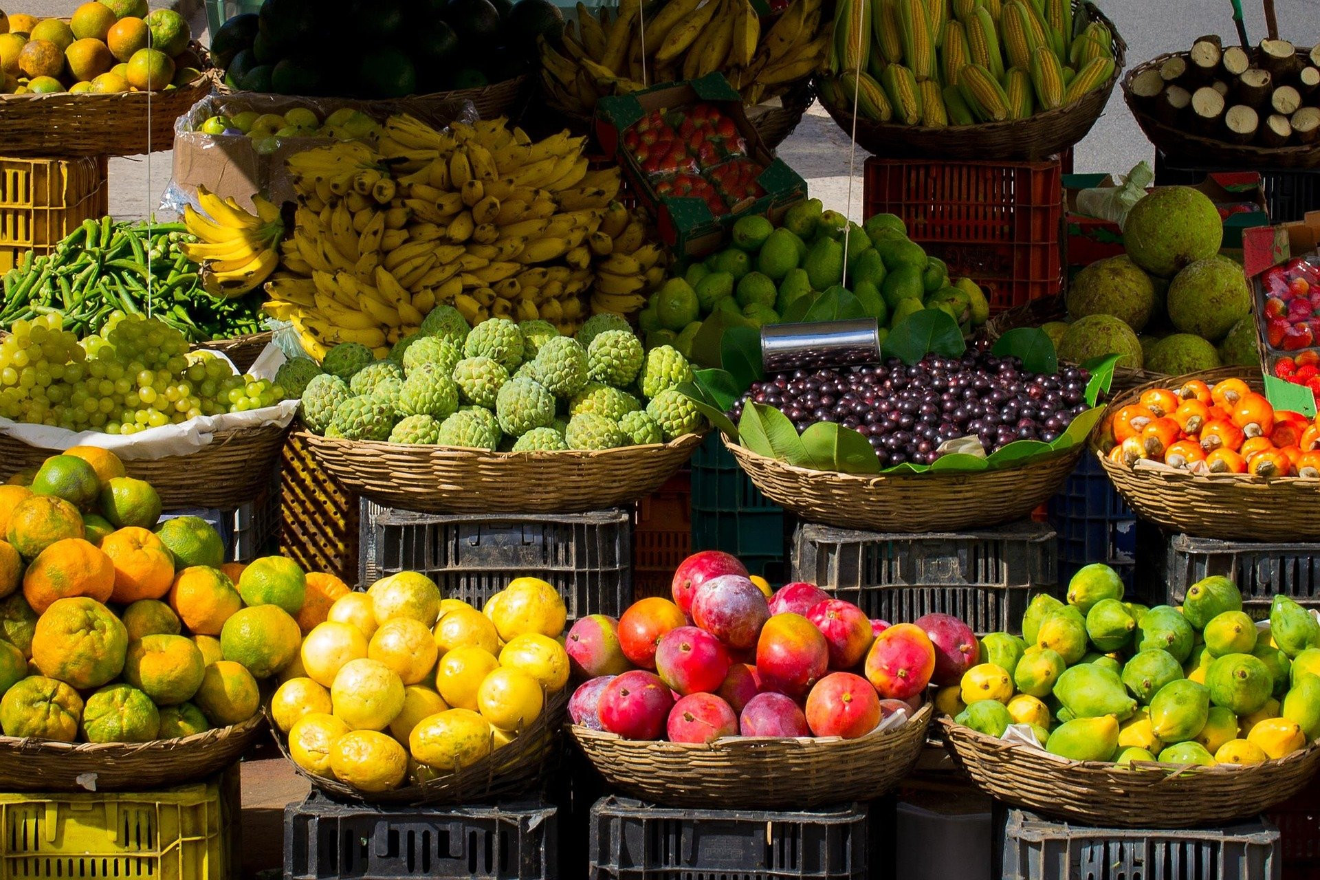 organic fruit market in athens